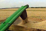 В России вступило в силу эмбарго на экспорт зерна