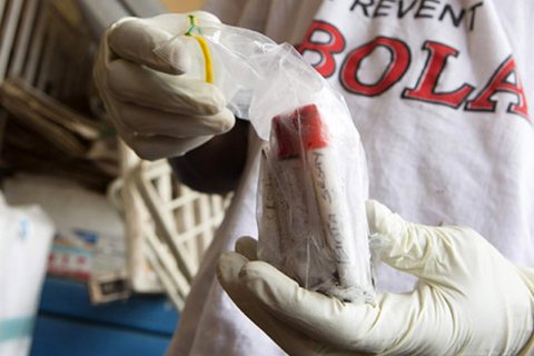 Голодец заявила об успешных испытаниях российской вакцины от Эболы