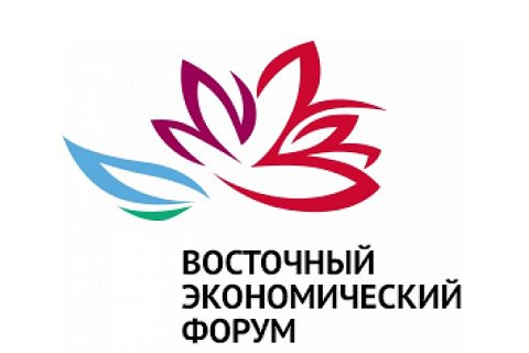 На проведение ВЭФ во Владивостоке организаторам требуется найти 600 млн рублей