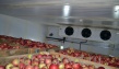 Технологическое оборудование для переработки овощей и фруктов. Отдельные и специ...