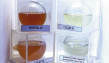 Низкомолекулярный 1,2-винил-бутадиеновый каучук СКДСН