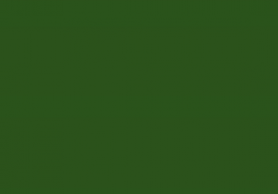 Гладкий лист RAL 6002 лиственно-зеленый окрашенный с завода