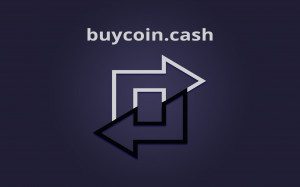 https://buycoin.cash/