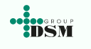 DSM Group