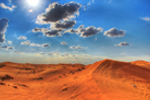 Первая система производства экологически чистого биотоплива в Абу-Даби