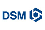 DSM вступает во владение заводом ПА6 компании NPC