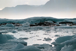 Информацию о континентальном шельфе РФ в Арктике рассекретят