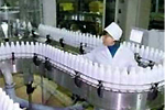 В Омской области - молочный бум