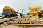 В Архангельской области откроется мощный лесоперерабатывающий комплекс