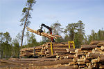 Модернизация лесного хозяйства в Белоруссии