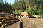 В Архангельской области возобновится лесопильное производство