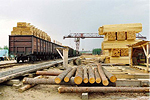 Китай будет участвовать в переработке леса в Иркутской области