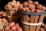 Россия закупит картофель в Белоруссии
