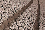 20 млрд. рублей выделило Правительство пострадавшим от засухи регионам