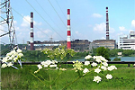 На Новомосковской ГРЭС начался монтаж газовой турбины для ПГУ-190 МВт