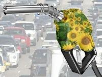 Жидкое биотопливо: замена бензина