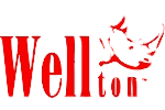 Первый выпуск «специалистов Wellton»