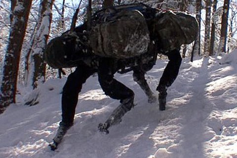 Для ВС России разрабатывают биоморфного боевого робота