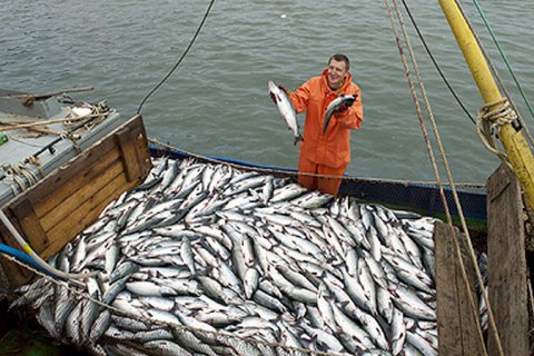 Запущен новый механизм развития рыбохозяйственной отрасли России