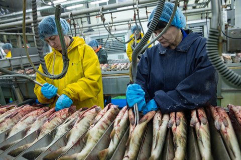 За 10 лет Камчатка вложила в рыбопереработку 23 млрд рублей