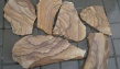Натуральный Песчаник Тигровый камень природный пластушка - удивительное творение...