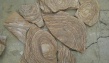 Вы можете выгодно купить Камень пластушка натуральный природный песчаник Шкура Т...