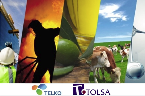 Telko стала дистрибутором производителя специальных глин компании TOLSA.