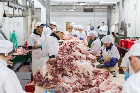 Российским компаниям необходимо разрабатывать комплексное оборудование для мясоперерабатывающих предприятий