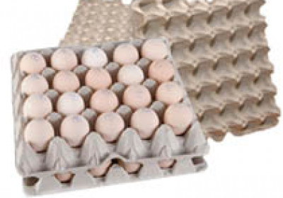 Упаковка для яиц из картона и пластика