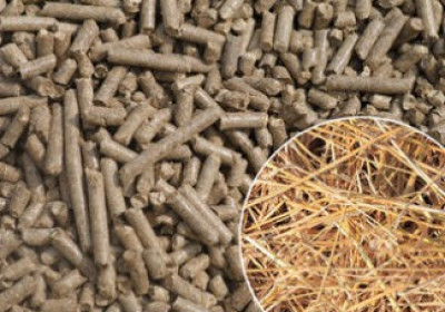 Линия гранулирования сена и соломы до 800 кг час