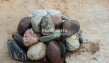 природный камень, натуральный камень, дикий камень, камень для ландшафтного диза