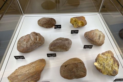 Первый день аукционов уникальных камней на AmberForum: 100% лотов продано