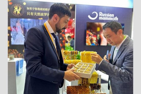 Янтарный комбинат представил в Китае на международной выставке импортных товаров China International Import Expo возможности несырьевого экспорта