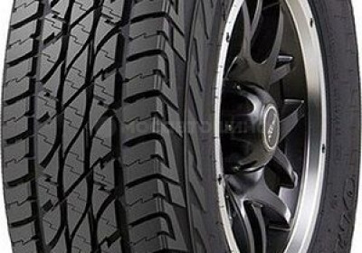 Шины Accelera Omikron A/T