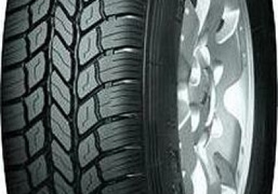 Шины WestLake SL325