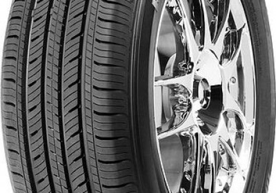 Шины WestLake RP18