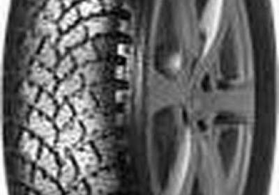 Шины Amtel Метелица (Шип)