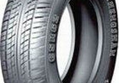 Шины Austone CSR62