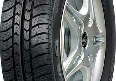 Шины Tigar TG621