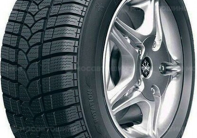 Шины Tigar Winter1