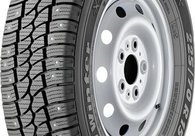 Шины Tigar Cargo Speed Winter