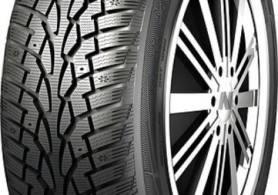 Шины Nankang SW7