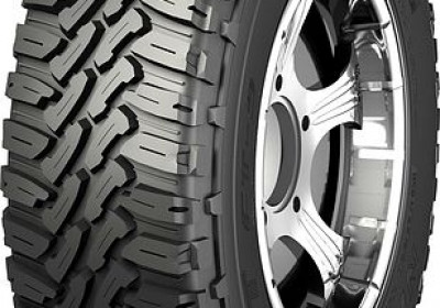 Шины Nankang FT9