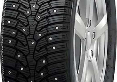 Шины Nankang SW9