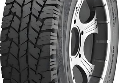 Шины Nankang FT7