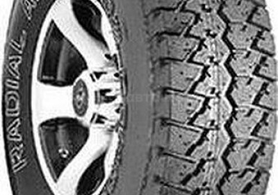 Шины Nankang N830