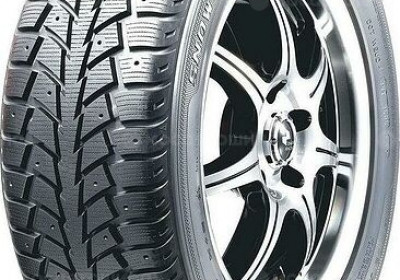 Шины Nankang SW5