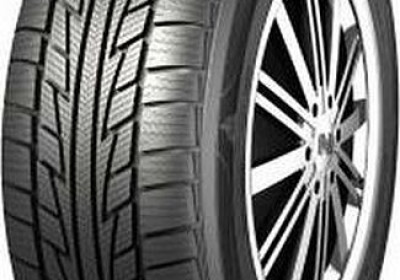 Шины Nankang SV2