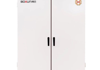 Сушильные шкафы BGZ-1006