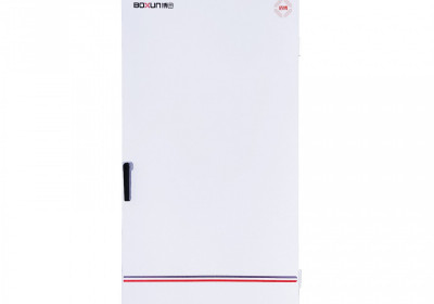 Сушильные шкафы BGZ-656